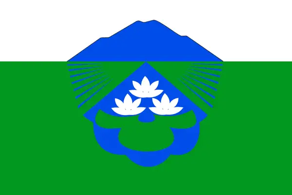 Флаг: Вяземский район